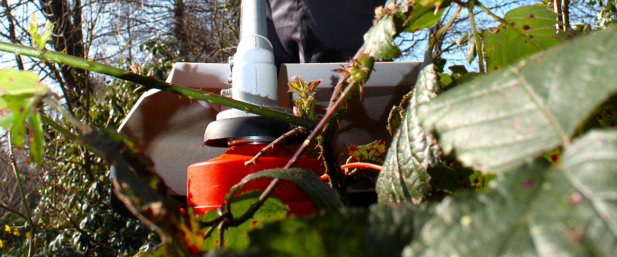 String trimmers & brush cutters – what’s the difference? - Gardencare